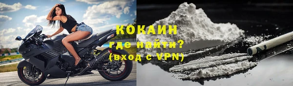 стаф Балахна