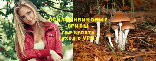 стаф Балахна