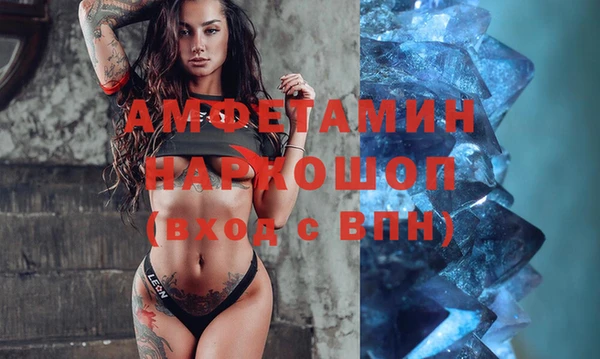 стаф Балахна