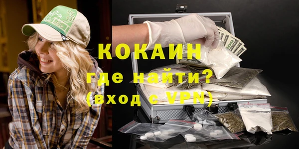 стаф Балахна