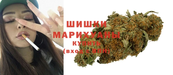 стаф Балахна